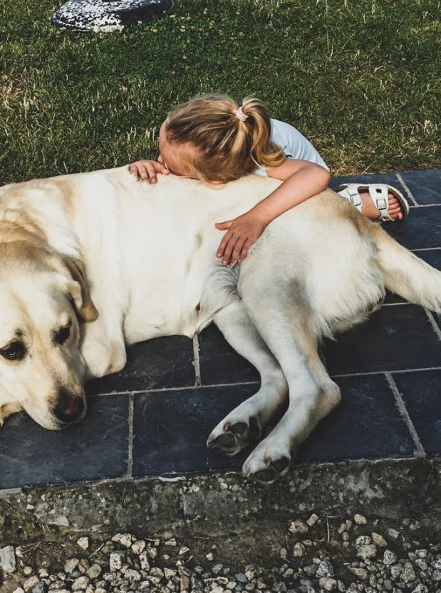 Een klein blond meisje die buiten met een labrador in het gras ligt. 